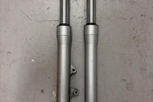 Steli forcella sh300