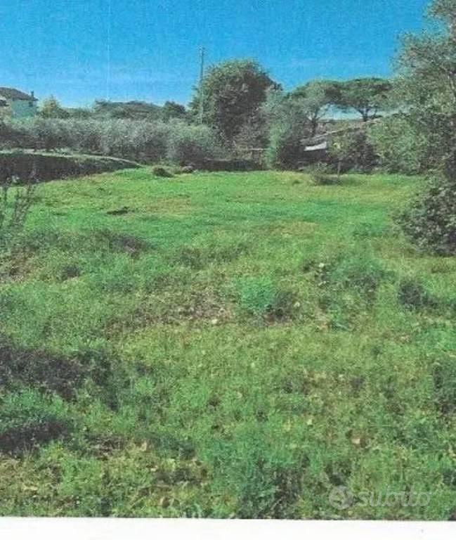 Immobile in asta di 1286 m² a Castiglione del Lago - Altro
