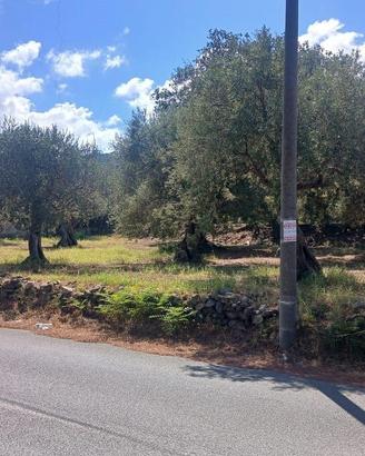 Terreno agricolo a Piano Torre