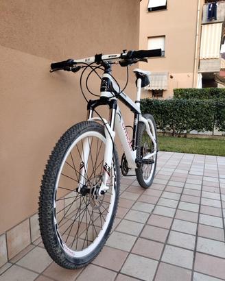 Bicicletta mountain bike