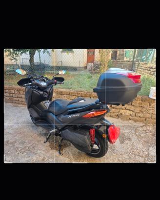 Bauletto Piastra e staffa originali 