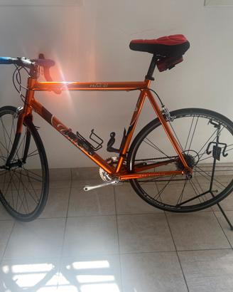 Wilier Triestina Evasion Elite Daytona