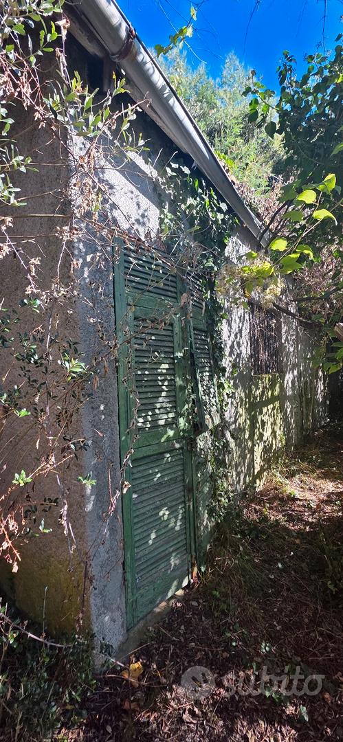 Immerso nel verde - Altro