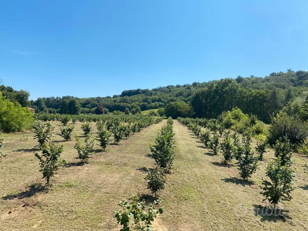 Moncrivello VC terre noccioleti prsti boschi