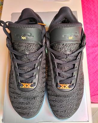Scarpe basket LeBron XX
