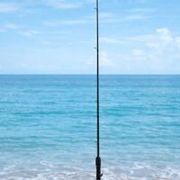 varie canne da pesca per spinning 