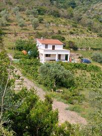 Casa in Campagna 