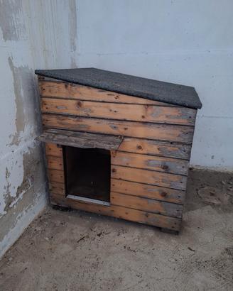 cuccia per cani