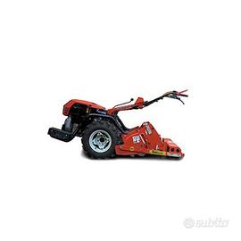 Goldoni 140 + interrasassi minimot carbogreen