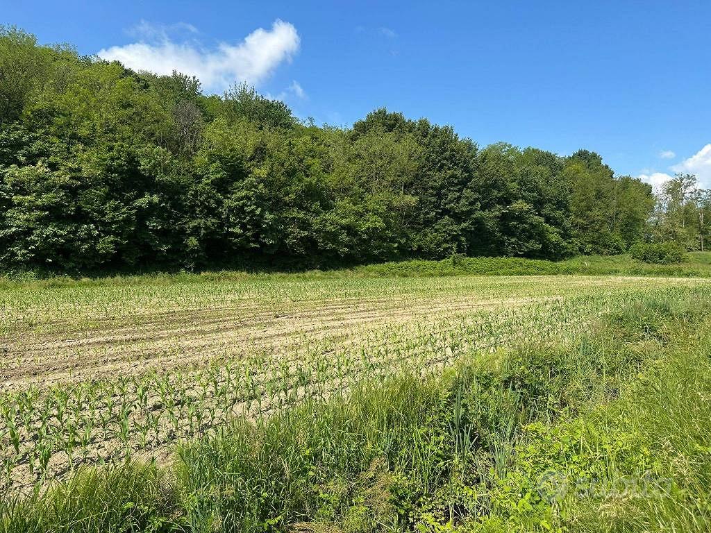 Terreno di 3845 m² a Sirone - Vista 2