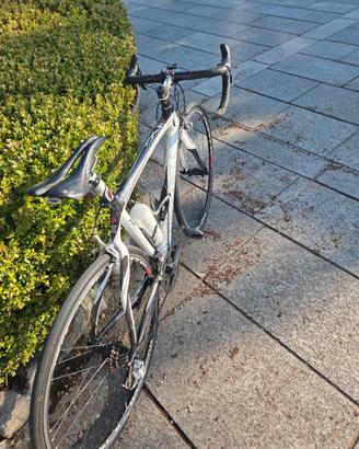 Bici da Corsa