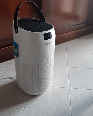 Purificatore/ionizzatore d'aria