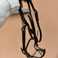 Testiera da Carrozza in Cuoio con Paraocchi