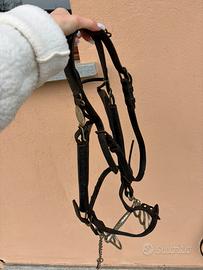 Testiera da Carrozza in Cuoio con Paraocchi