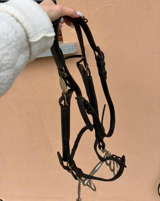 Testiera da Carrozza in Cuoio con Paraocchi