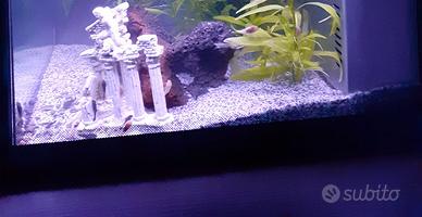 Sabbia acquario bianco o nero fine