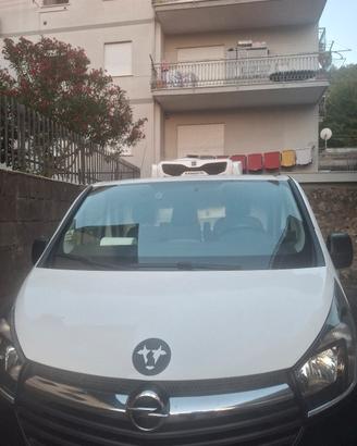 furgone perfetto  frigo strada rete 