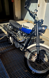 Triumph scrambler 900