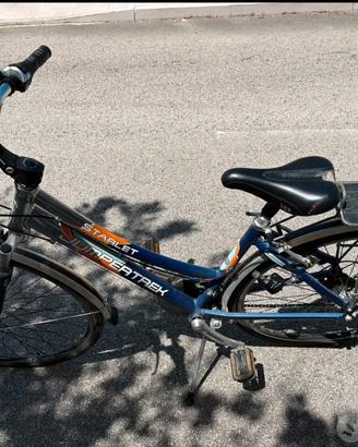 Bicicletta 28 da passeggio