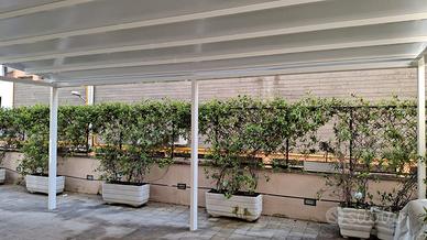 Pergotende tende persiane 