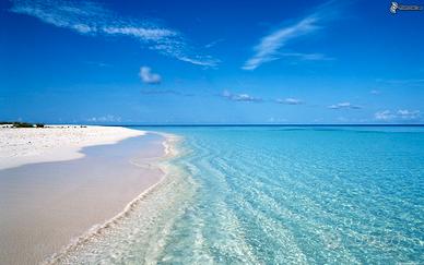 Al mare a Piedi. Vacanza 80m dal mare Lido Marini