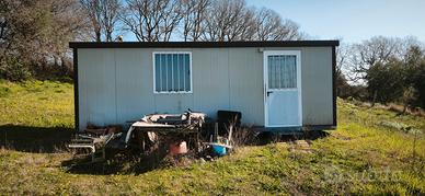 Terreni agricoli coltivati ad olivi