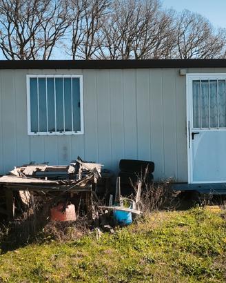 Terreni agricoli coltivati ad olivi
