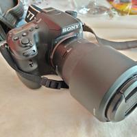 Sony A77II + SAL55-300