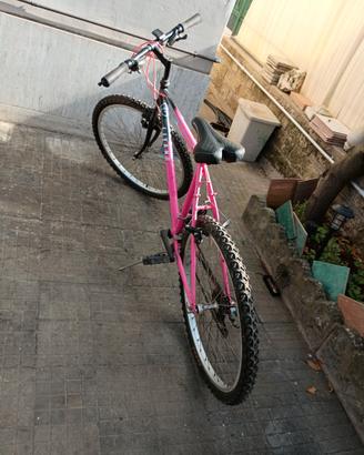 MOUNTAIN BIKE N.28