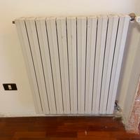 Termosifoni in ghisa