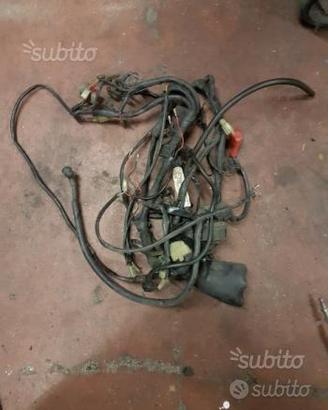 Treccia impianto elettrico completa Honda transalp