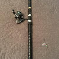 Canna da pesca con mulinello