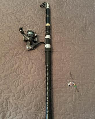 Canna da pesca con mulinello