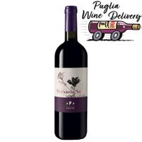 Vino puglia malvasia nera 2018- cantine felline