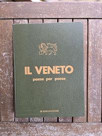 Il veneto paese per paese. vol 5