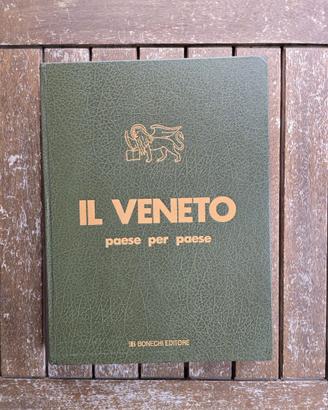 Il veneto paese per paese. vol 5