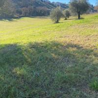 Pensione per cavalli