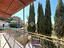 Immagine 12