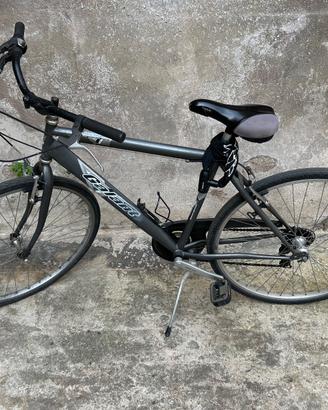 Bici da città