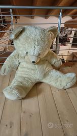 orsacchiotto gigante