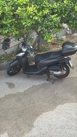 Sh 300 sport