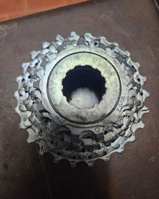Cassetta pignoni Campagnolo