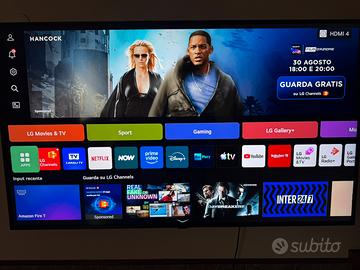LG QNED 55 pollici