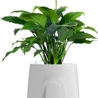 Purificatore aria Natede Vitesy basic e smart