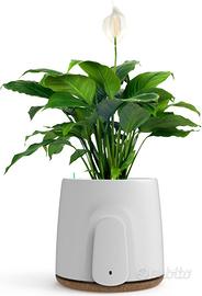 Purificatore aria Natede Vitesy basic e smart