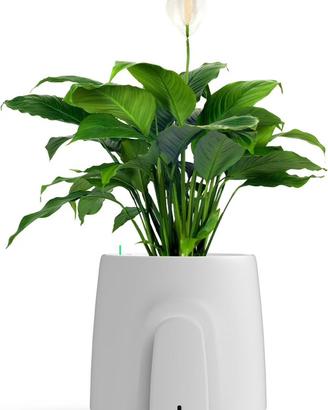 Purificatore aria Natede Vitesy basic e smart