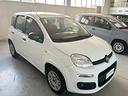 fiat-panda-1-2-easy