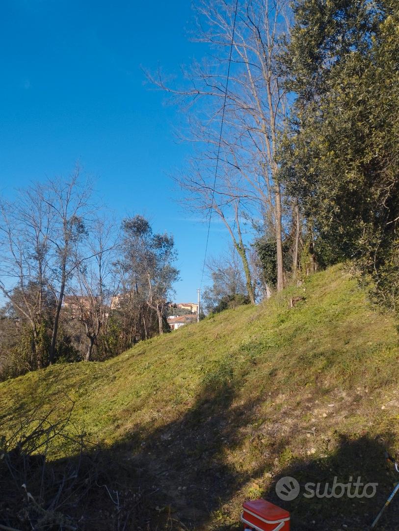 Terreno collinare Torrice (FR) - Altro