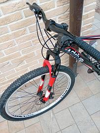 bike  XL raggio 29