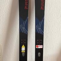 Sci da sci alpinismo